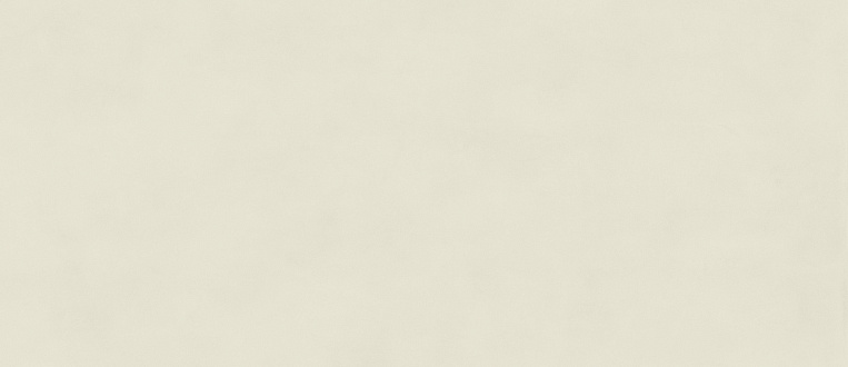 Плитка керамогранит Boost Color Salix 120x278 Matt 6mm (3,336 кв.м.) под бетон