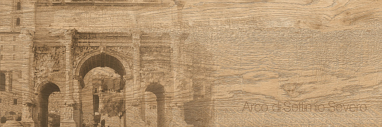 Декор керамогранит Grasaro Italian Wood Honey G-251 SR d01 200x600x9 под дерево