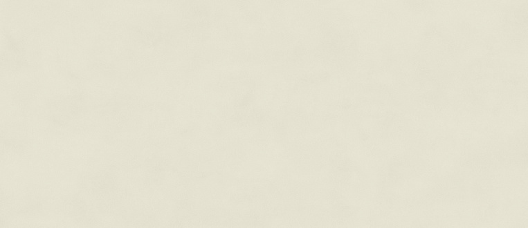 Плитка керамогранит Boost Color Salix 120x278 Matt 6mm (3,336 кв.м.) под бетон