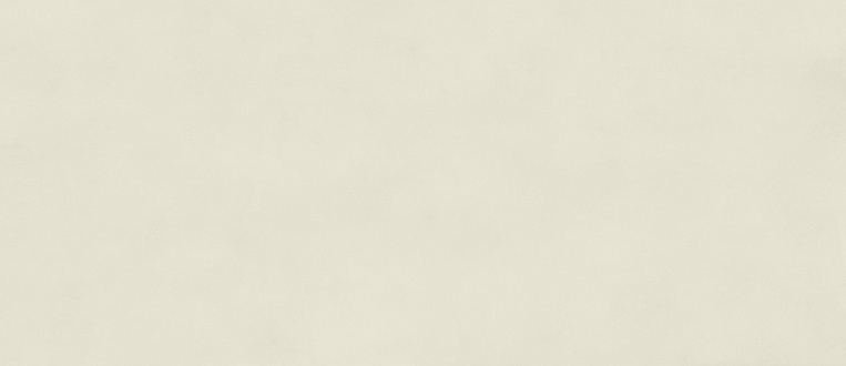 Плитка керамогранит Boost Color Salix 120x278 Matt 6mm (3,336 кв.м.) под бетон
